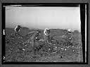 Courtesy of Records of the Great Western Sugar Company, Colorado Agricultural Archive, Colorado State University