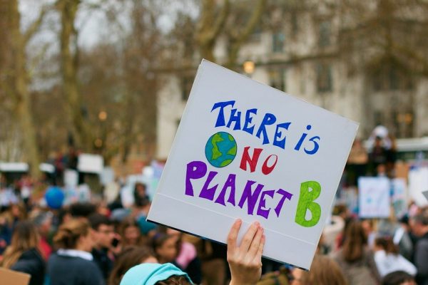 Image of environmental protest. One protester holds a sign that reads there is no planet B.